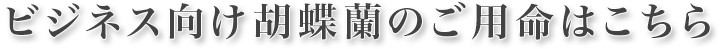 ビジネス向け胡蝶蘭のご用命はこちら